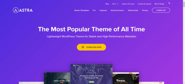 WordPress Themes Astra Screenshot Webseite