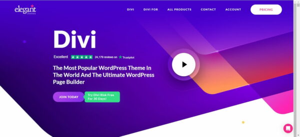 WordPress Themes Divi Screenshot Webseite