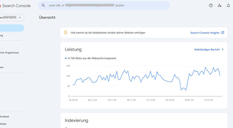 Screenshot der Google Search Console mit Leistungs- und Indexierungsberichten einer Webseite