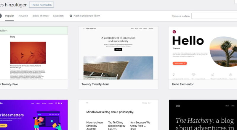 WordPress-Theme-Verwaltung mit beliebten Themes wie Astra und Hello Elementor.