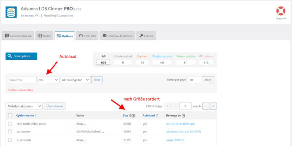 Screenshot des Advanced DB Cleaner Pro: Automatisch geladene Optionen in WordPress nach Größe sortiert.