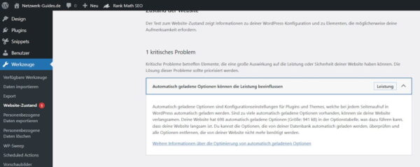 Hinweis im Website-Zustand von WordPress: Automatisch geladene Optionen können die Leistung beeinträchtigen.