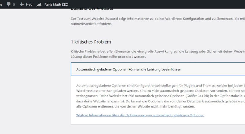 Hinweis im Website-Zustand von WordPress: Automatisch geladene Optionen können die Leistung beeinträchtigen.